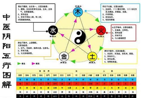 水和金的关系|金生水怎么理解 金生水是谁旺谁